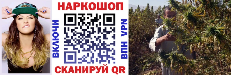 Купить закладку Бошки Шишки  СК  Гашиш  Мефедрон  Грязовец