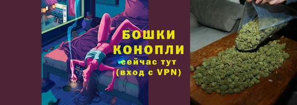 spice Каменка