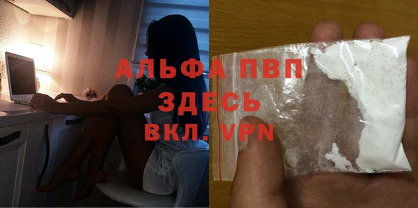 spice Каменка