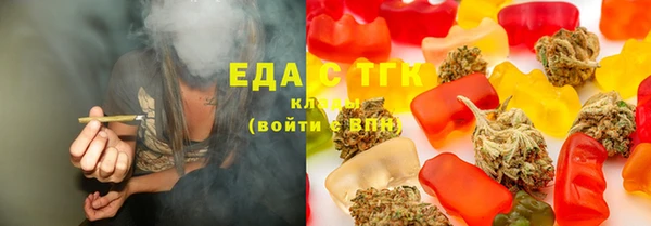 spice Каменка