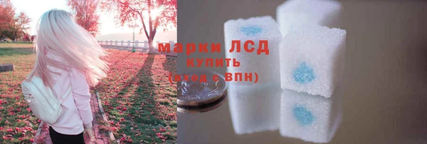 spice Каменка