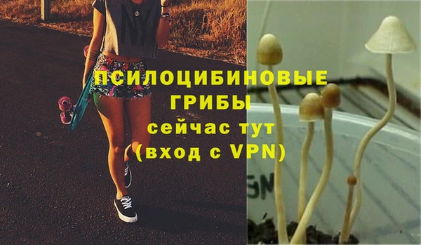 винт Каменногорск