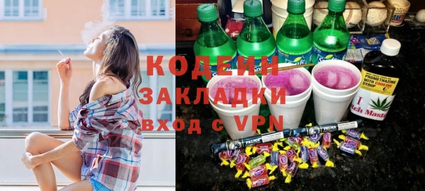 spice Каменка