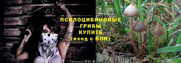 винт Каменногорск