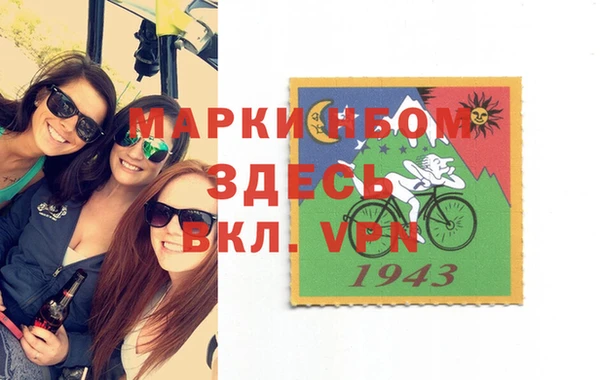 spice Каменка