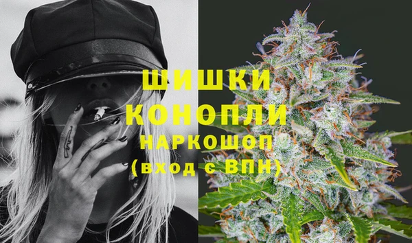 spice Каменка