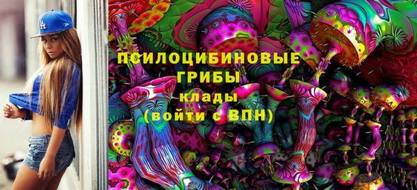 дживик Каменск-Шахтинский