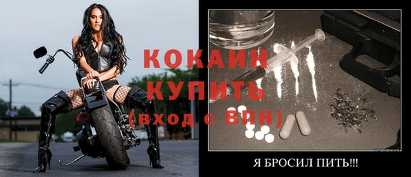 дживик Каменск-Шахтинский