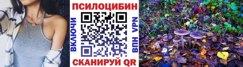 Псилоцибиновые грибы Cubensis  Купить  Грязовец 